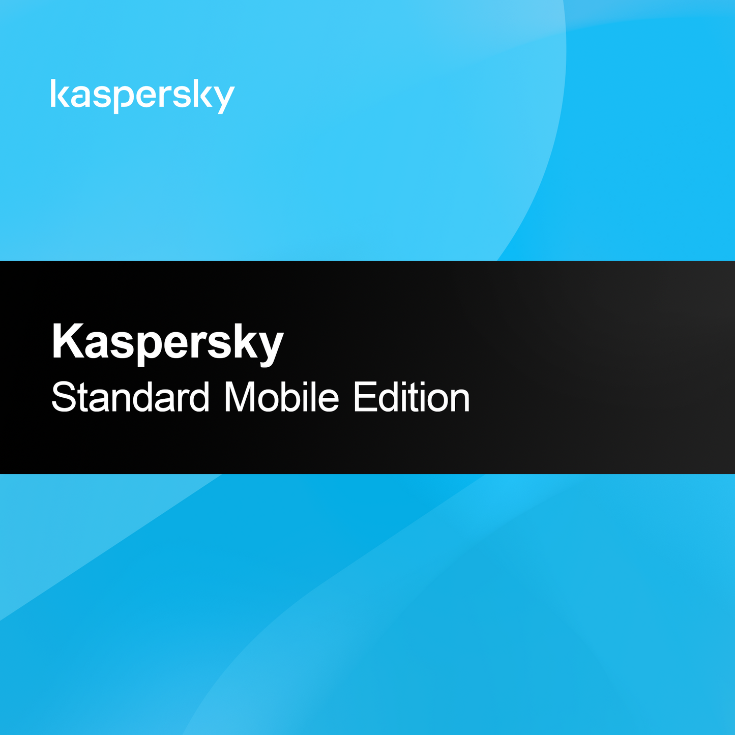 Kaspersky Standard Mobile Edition