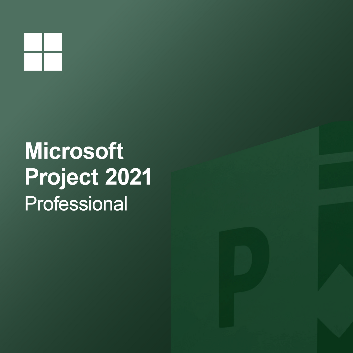 Microsoft Project 2021 Professional