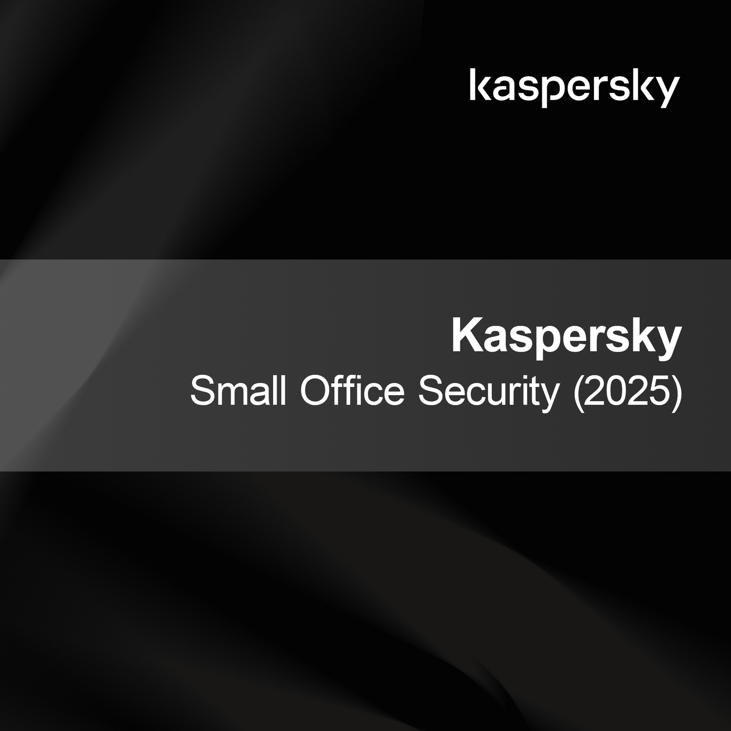 Kaspersky Small Office Security (2025)